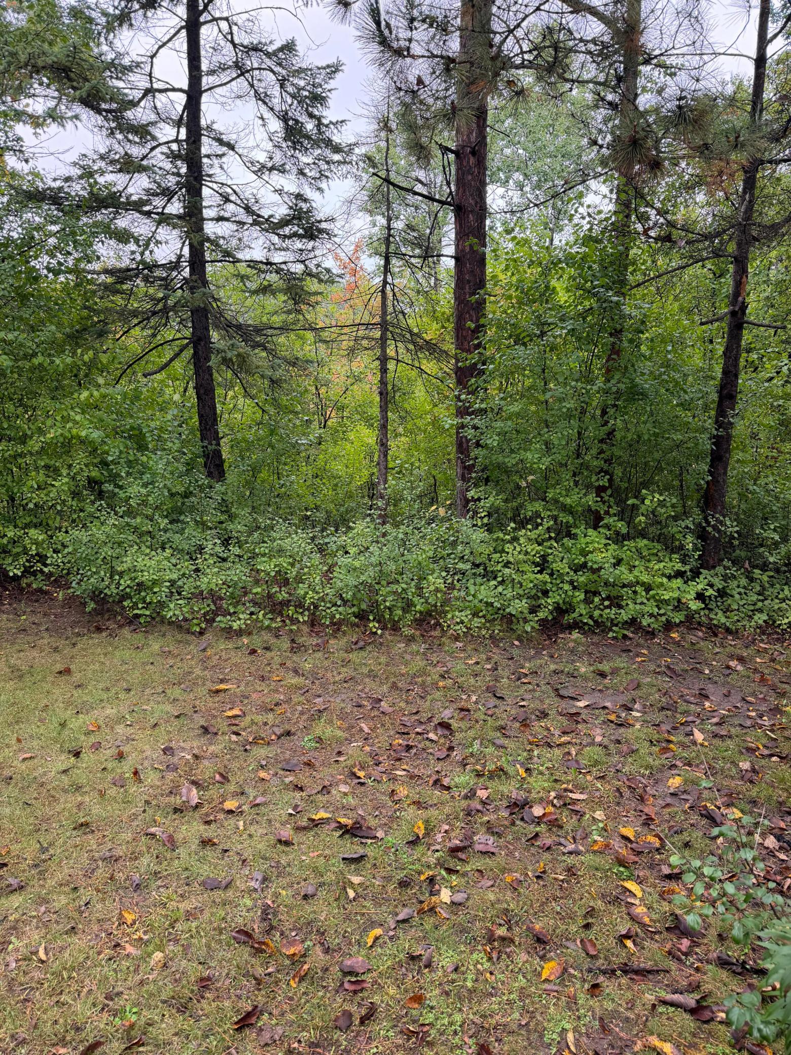 8245 West Bush Lake Road Bloomington, MN 55438 - Photo 3 of 20 Gallery Image 3