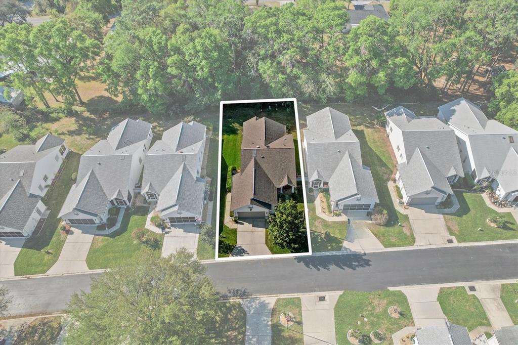 3569 South Belgrave Drive Inverness, FL 34452 - Photo 46 of 70 a view of yard