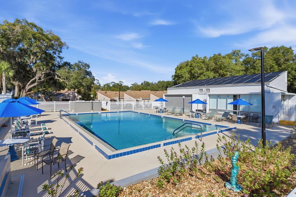 3569 South Belgrave Drive Inverness, FL 34452 - Photo 67 of 70 a view of a swimming pool with a patio