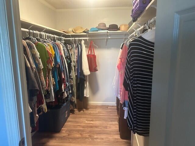 306 Park Street St. George, SC 29477 - Photo 33 of 42 af12