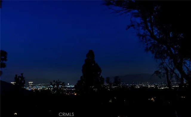 a green room with furniture and a lamp