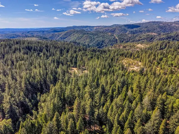 $450,000 | 789 Sawmill Road, Alta, CA 95701