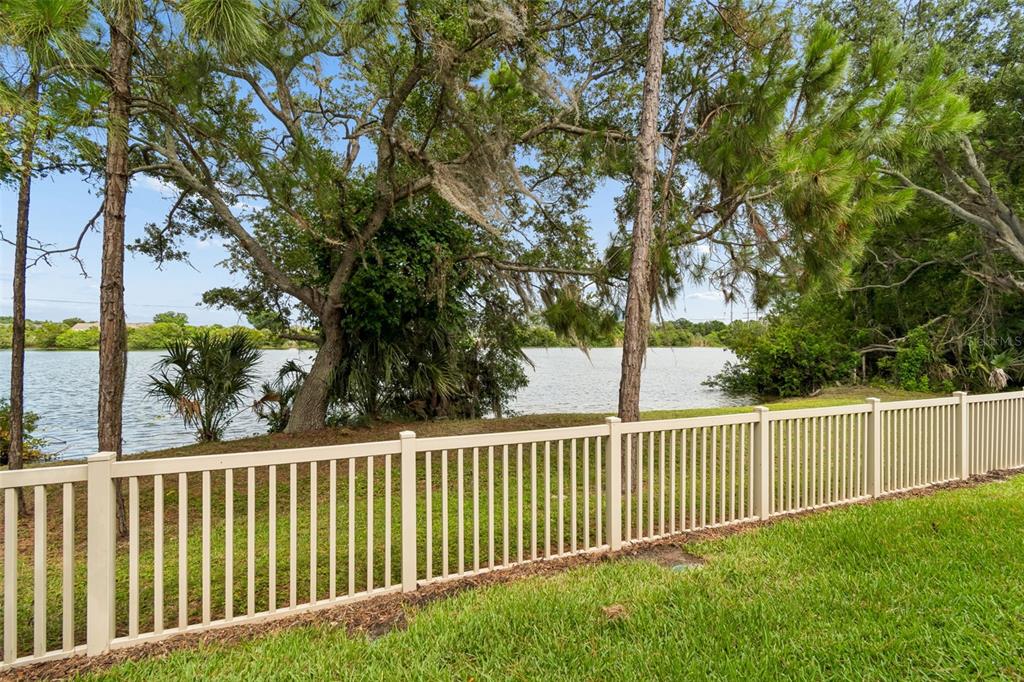 9210 Fox Sparrow Road Tampa, FL 33626 - Photo 29 of 36