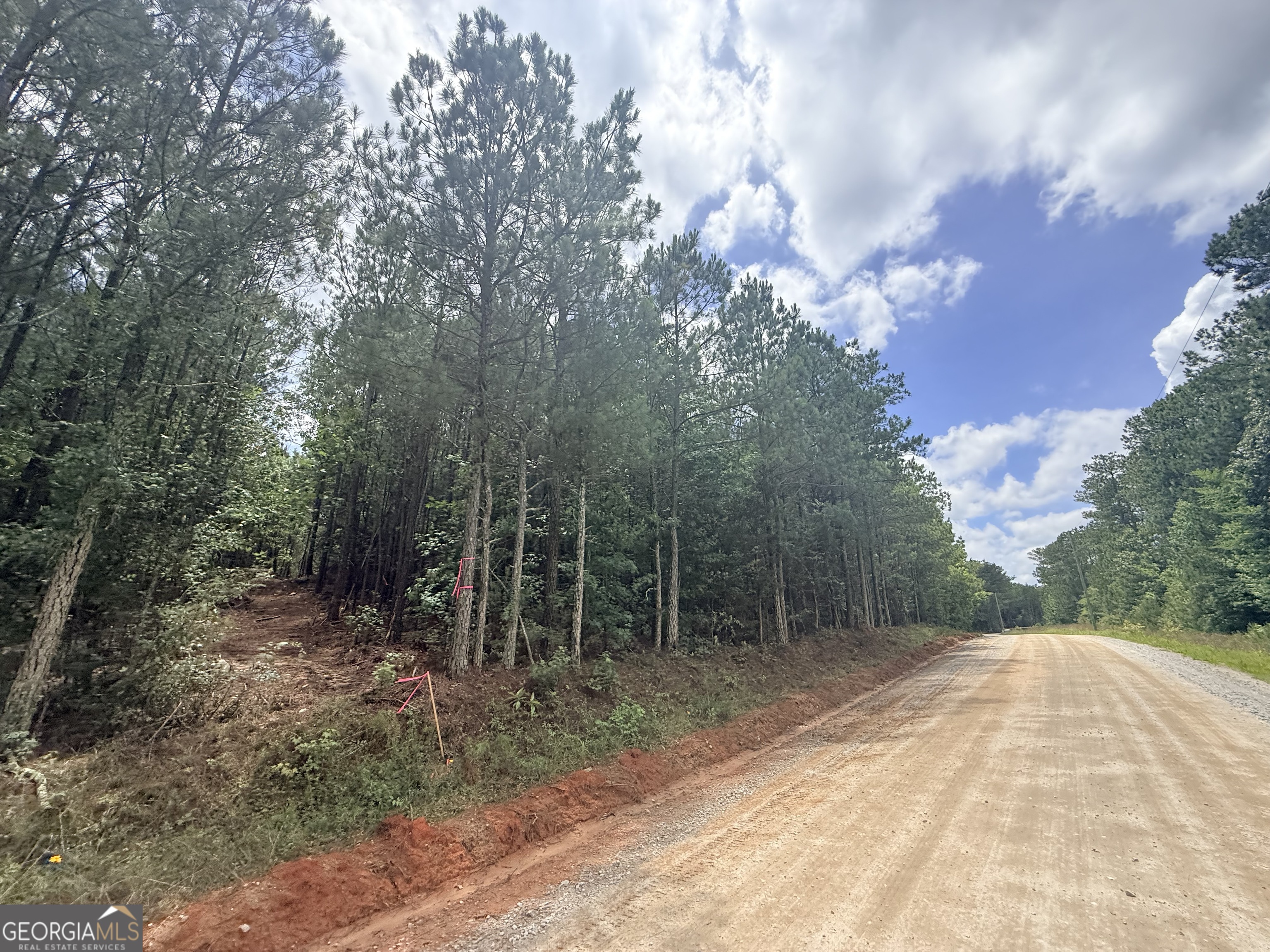 2787 Cedar Creek Road Elberton, GA 30635 - Photo 18 of 88