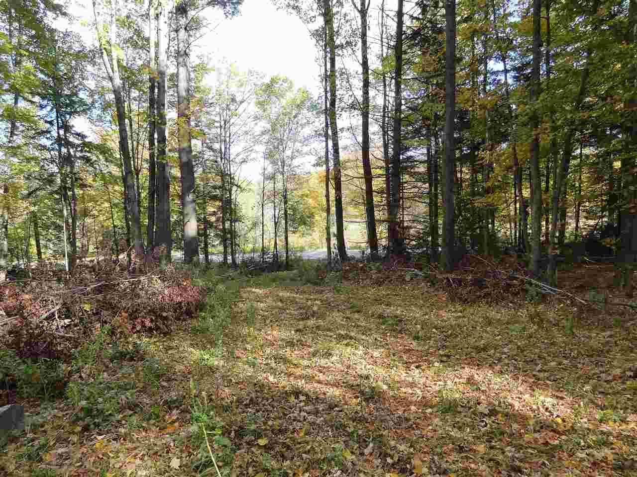 1 Parker Road Wallingford, VT 05742 - Photo 2 of 6