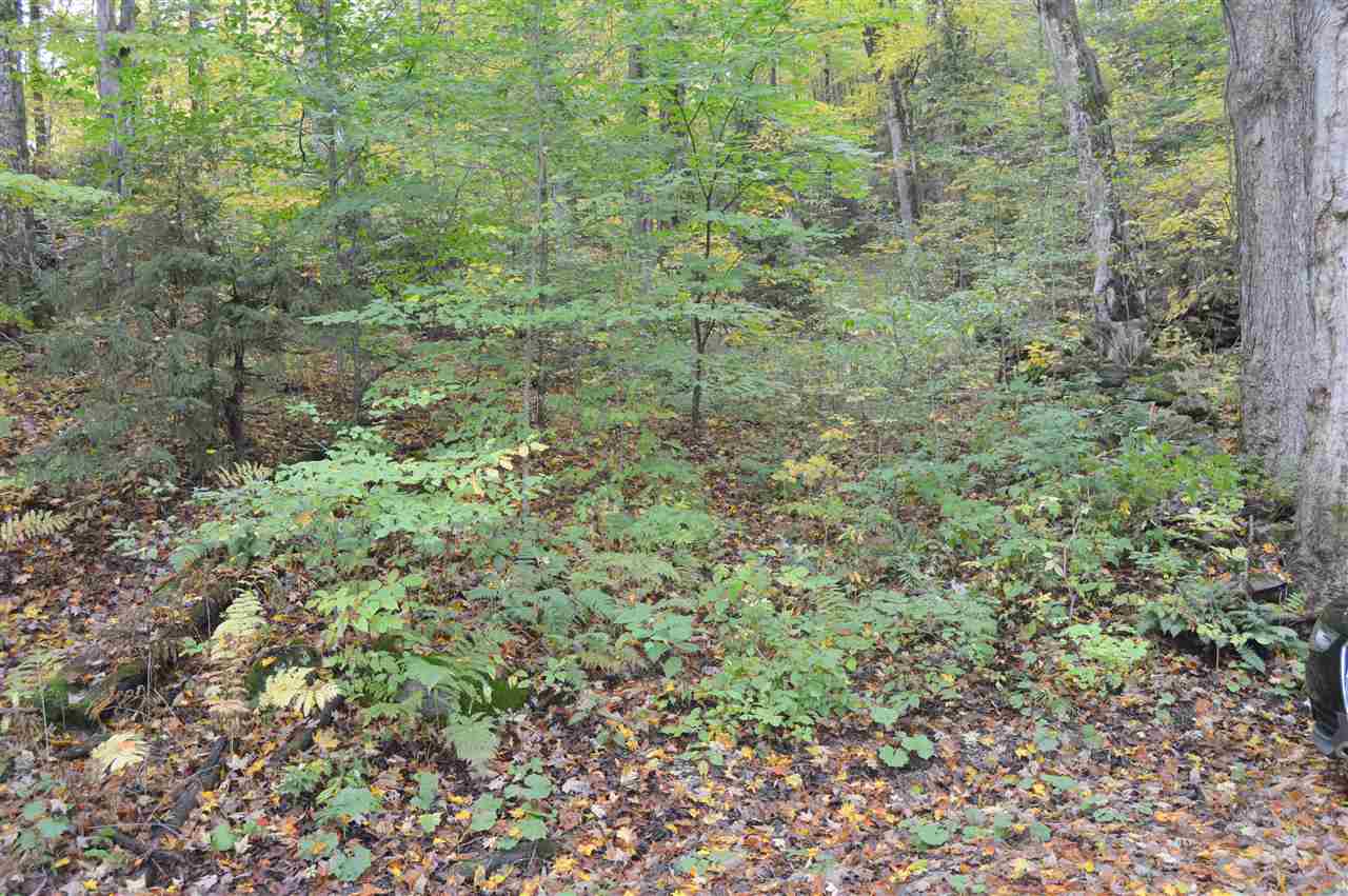 1 Parker Road Wallingford, VT 05742 - Photo 6 of 6