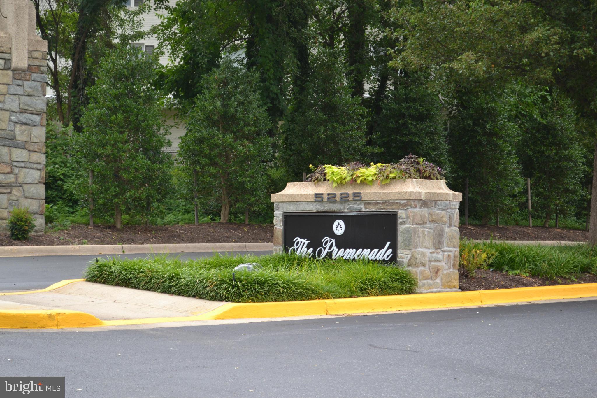 5225 Pooks Hill Road, Unit 204S Bethesda, MD 20814 - Photo 14 of 14 a view of swimming pool with a yard and large trees