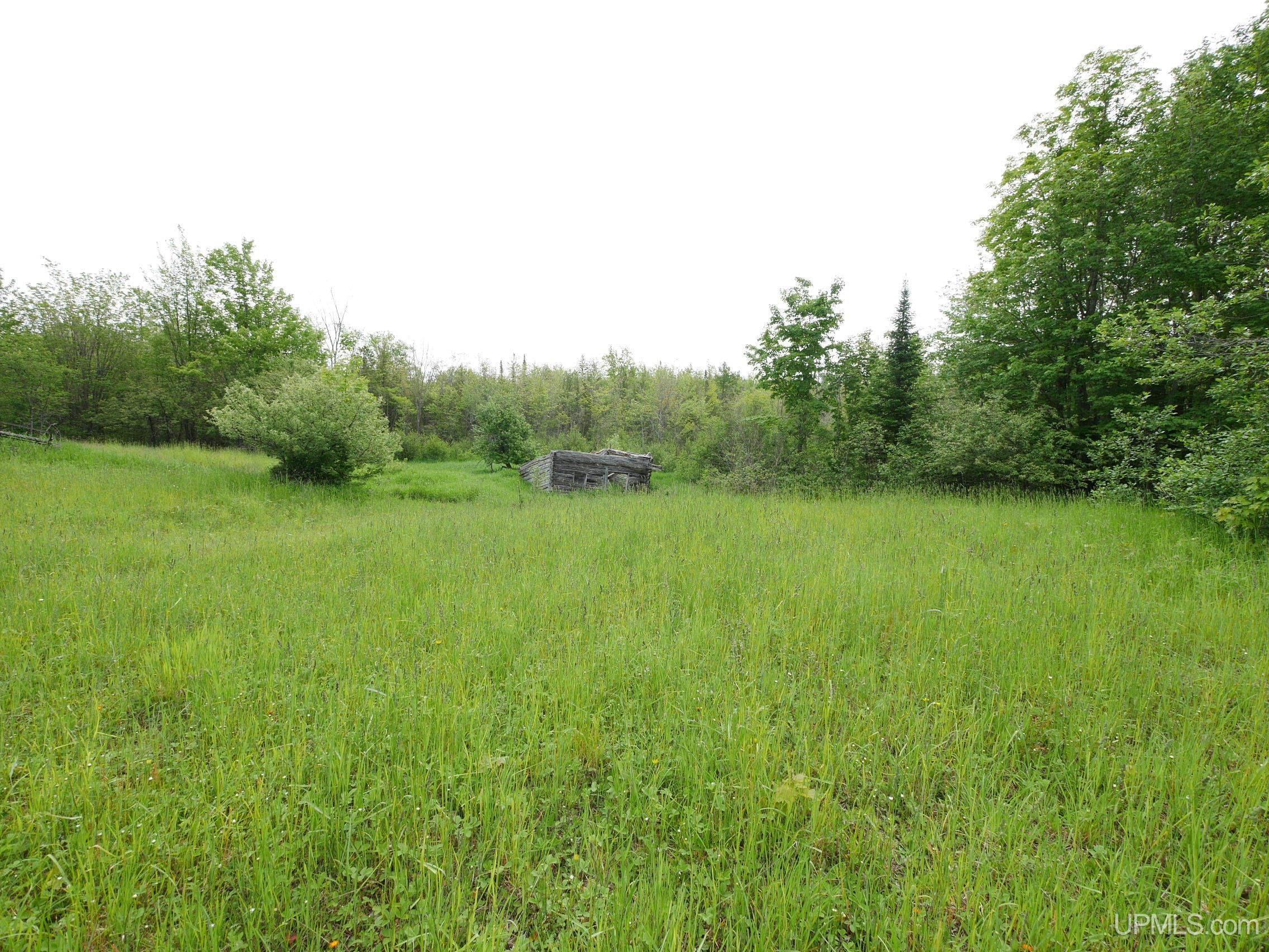 49382 Rauhala Road Atlantic Mine, MI 49905 - Photo 11 of 29 Gallery Image 11