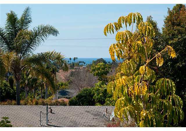 1585 Burgundy Road Encinitas, CA 92024 - Photo 25 of 25