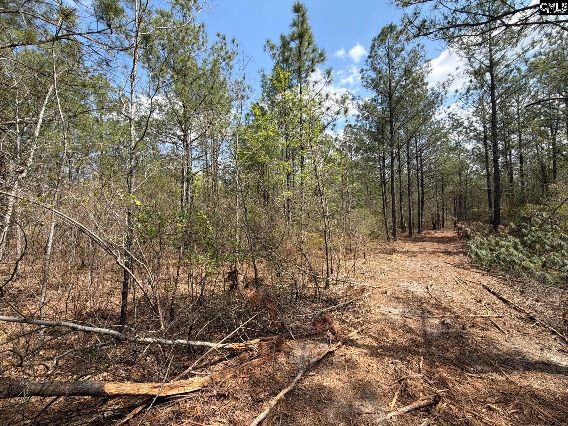 3 Mt Calvary Rd Ridge Spring Ridge Spring, SC 29129 - Photo 16 of 27