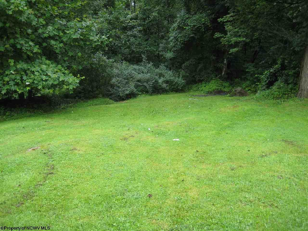 1550 Dogtown Road Reedsville, WV 26547 - Photo 18 of 20 Gallery Image 18