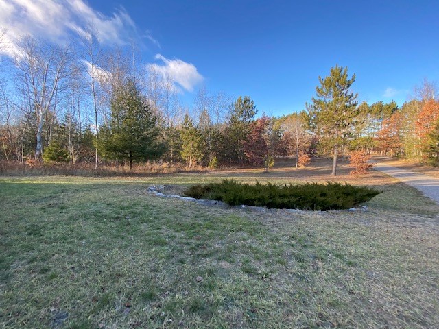 357 West Finkle Road McBain, MI 49657 - Photo 21 of 21 1882469-21.JPG