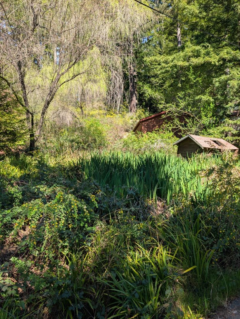 227 Old Ranch Road Redwood City, CA 94062 - Photo 3 of 5