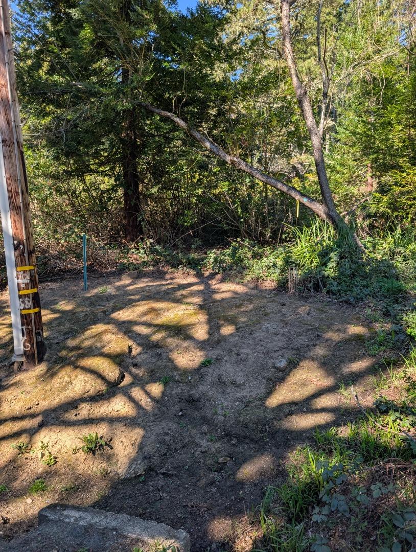 227 Old Ranch Road Redwood City, CA 94062 - Photo 4 of 5