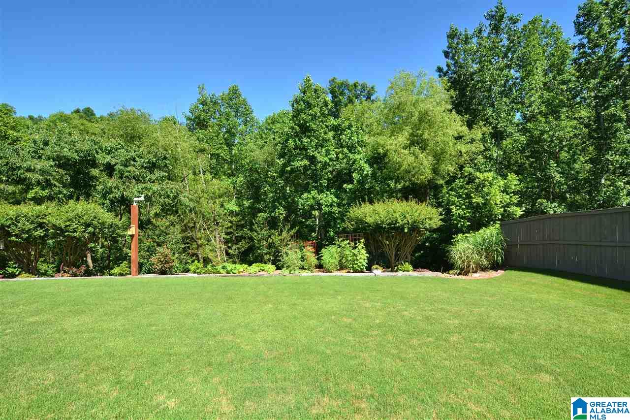 613 Foothills Trace Chelsea, AL 35043 - Photo 4 of 50
