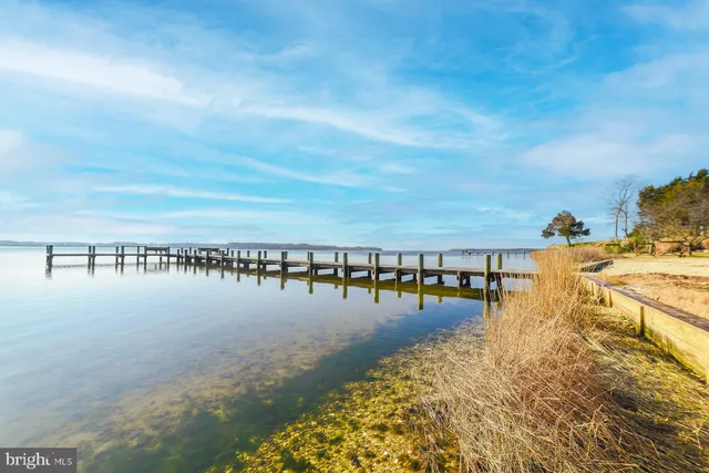 a view of entryway livingroom and hall with wooden floor