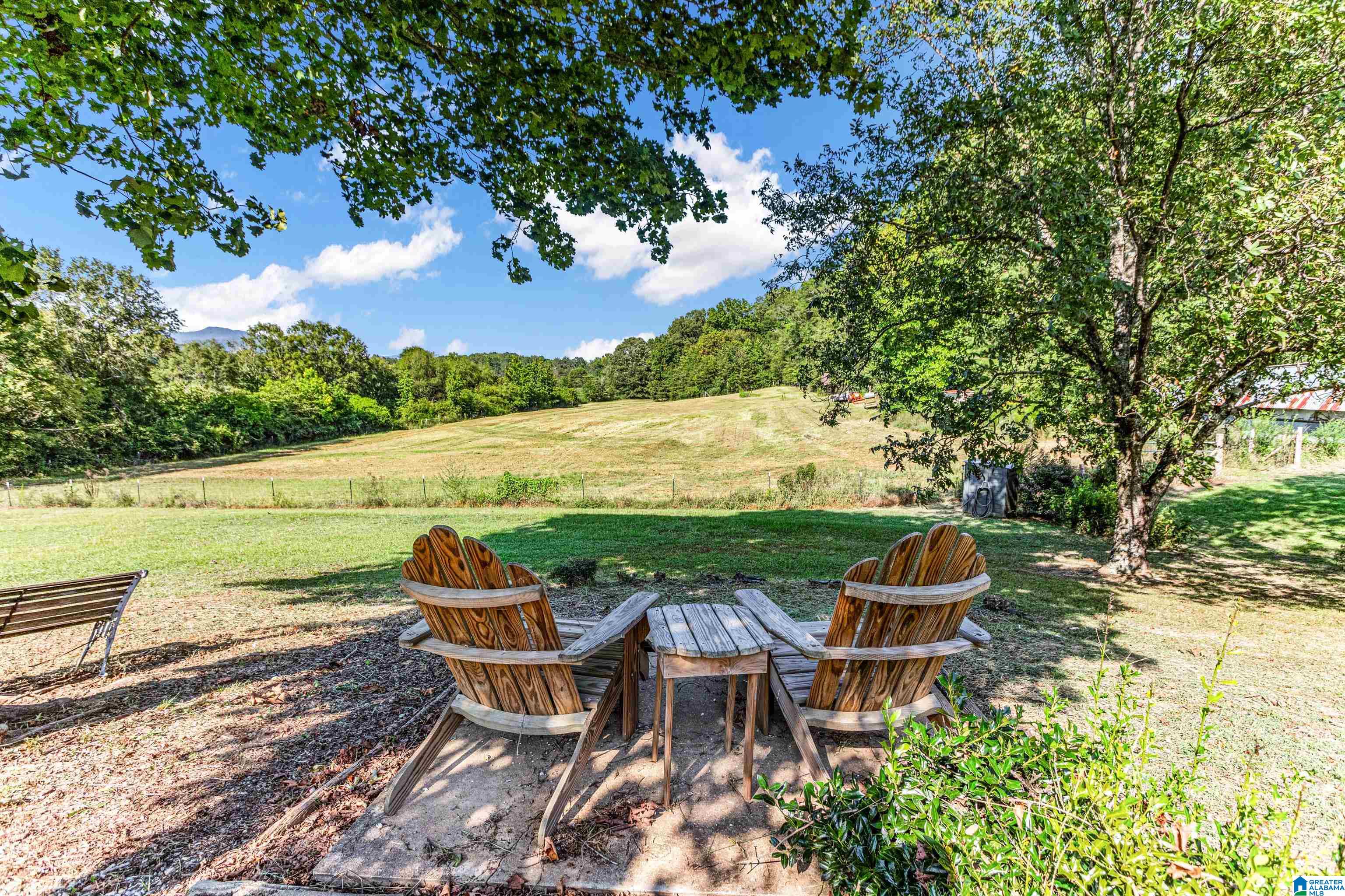 2700 Grist Mill Road Alpine, AL 35014 - Photo 35 of 48