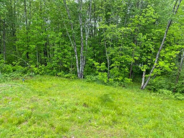 268 Edinburg Road Howland, ME 04448 - Photo 10 of 75 summerpicbackyard