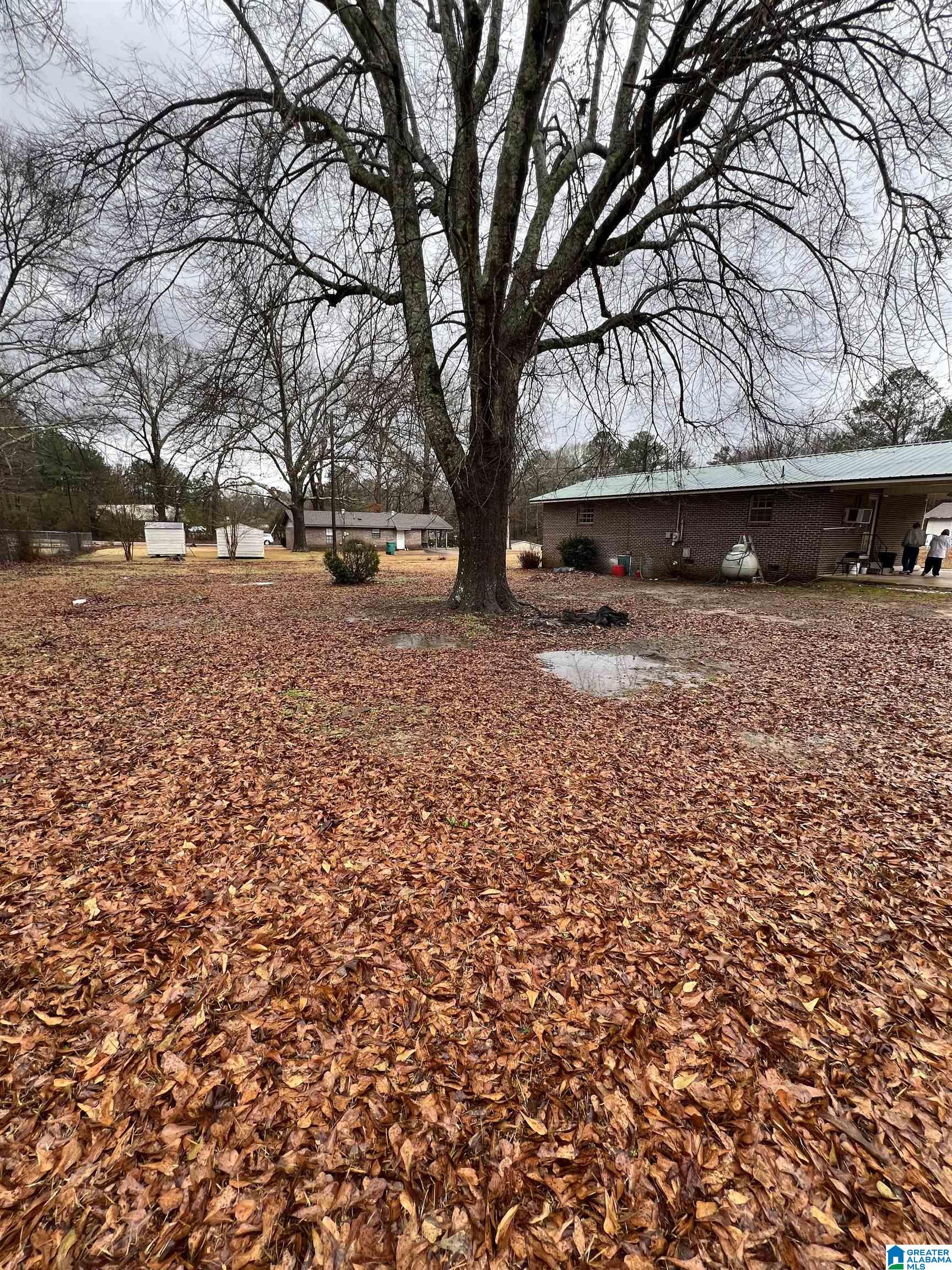 141 Finch Street Vernon, AL 35592 - Photo 18 of 18
