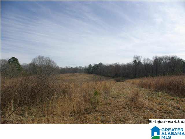 4 Horton Mill Road, Unit 5 Cleveland, AL 35049 - Photo 7 of 28