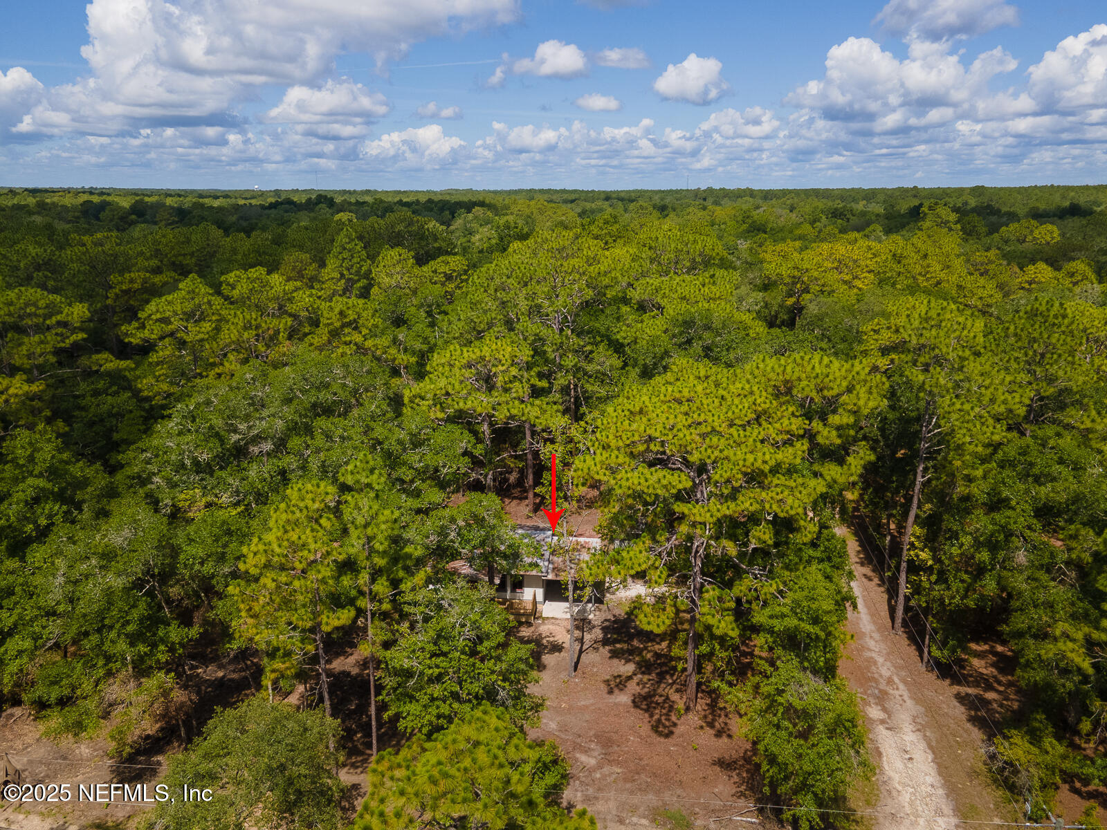 125 Lemon Street, Unit 22 Melrose, FL 32666 - Photo 24 of 28 a view of a pathway in a yard