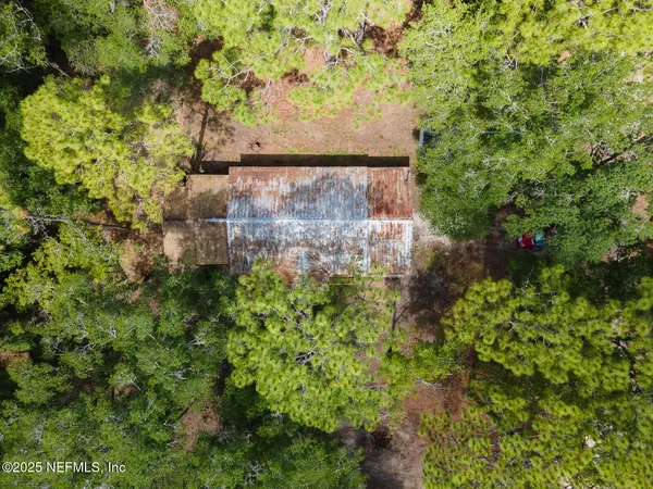 a view of a yard with plants and large trees