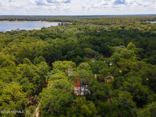 a view of a garden with an outdoor space