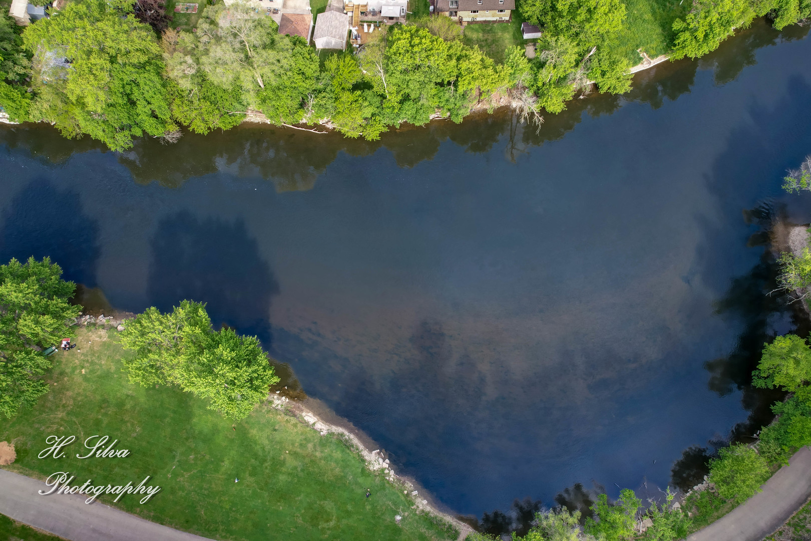 1402 Winaki Trail Algonquin, IL 60102 - Photo 33 of 33 a close up of a flower in a garden