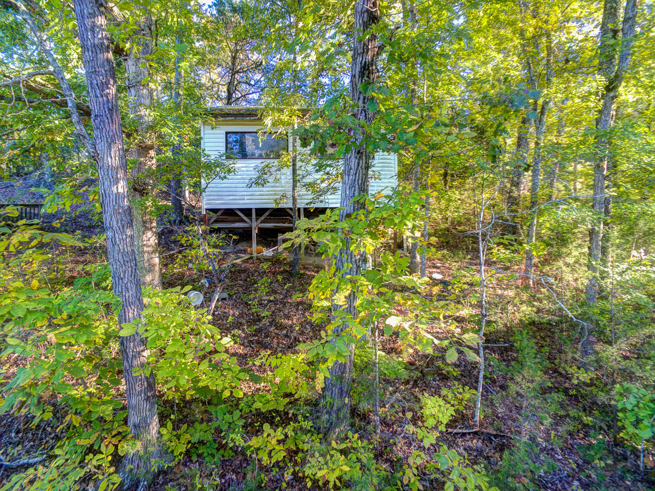 1765 Rauhuff Hollow Road Sevierville, TN 37876 - Photo 17 of 37 DJI_0121_2_3_4