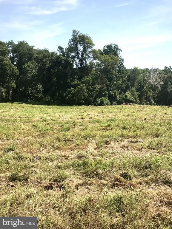 818 Burrows Run Road Chadds Ford, PA 19317 - Photo 101 of 106 Hannah Lane
