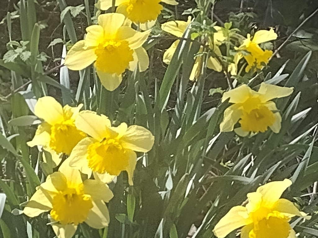 150 Webster Avenue, Unit 3 Chelsea, MA 02150 - Photo 13 of 36