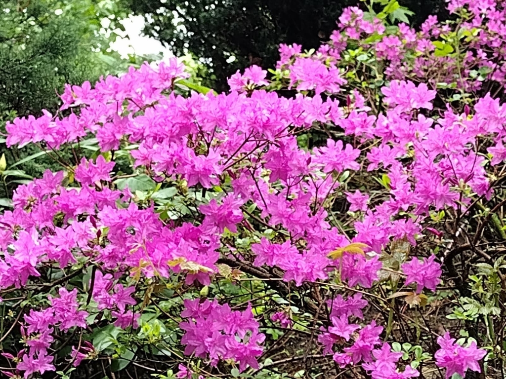 150 Webster Avenue, Unit 3 Chelsea, MA 02150 - Photo 14 of 36