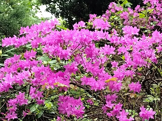 $485,000 | 150 Webster Avenue, Unit 3, Chelsea, MA 02150