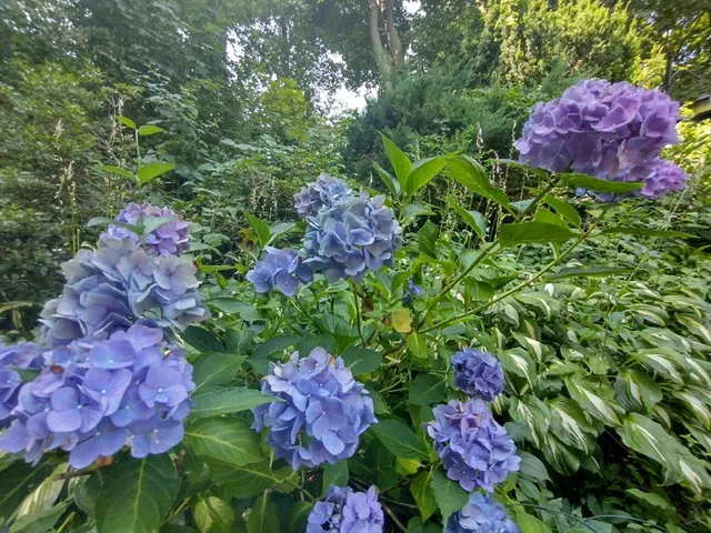 $485,000 | 150 Webster Avenue, Unit 3, Chelsea, MA 02150