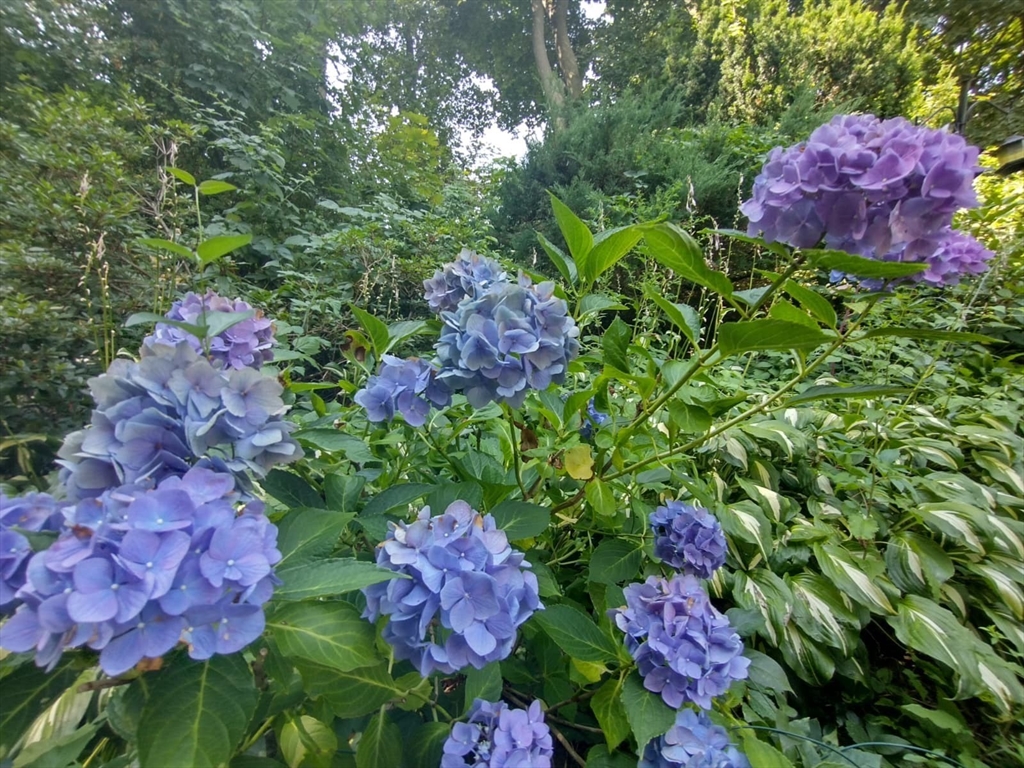 150 Webster Avenue, Unit 3 Chelsea, MA 02150 - Photo 27 of 36 a picture of flowers