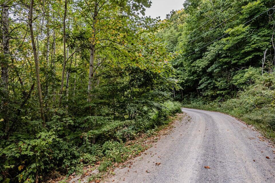 Lot 8 A/8b Dunlukin Dr Spring Spring City, TN 37381 - Photo 15 of 27 15