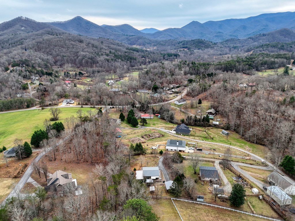 2276 Lovingood Road Hiawassee, GA 30546 - Photo 50 of 54 a view of a city with mountains