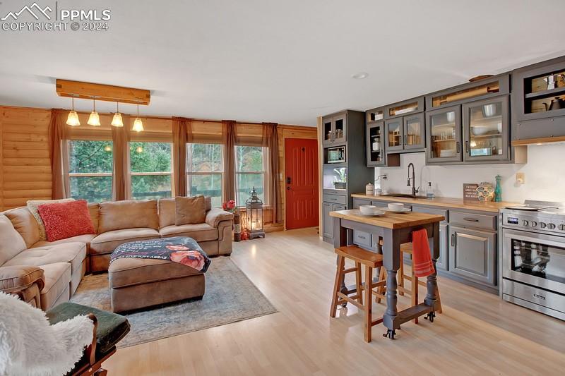 361 Willow Road Divide, CO 80814 - Photo 9 of 28 a living room with furniture and a large window
