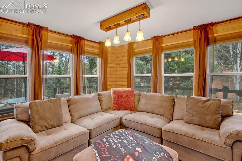 361 Willow Road Divide, CO 80814 - Photo 10 of 28 a living room with furniture and a large window