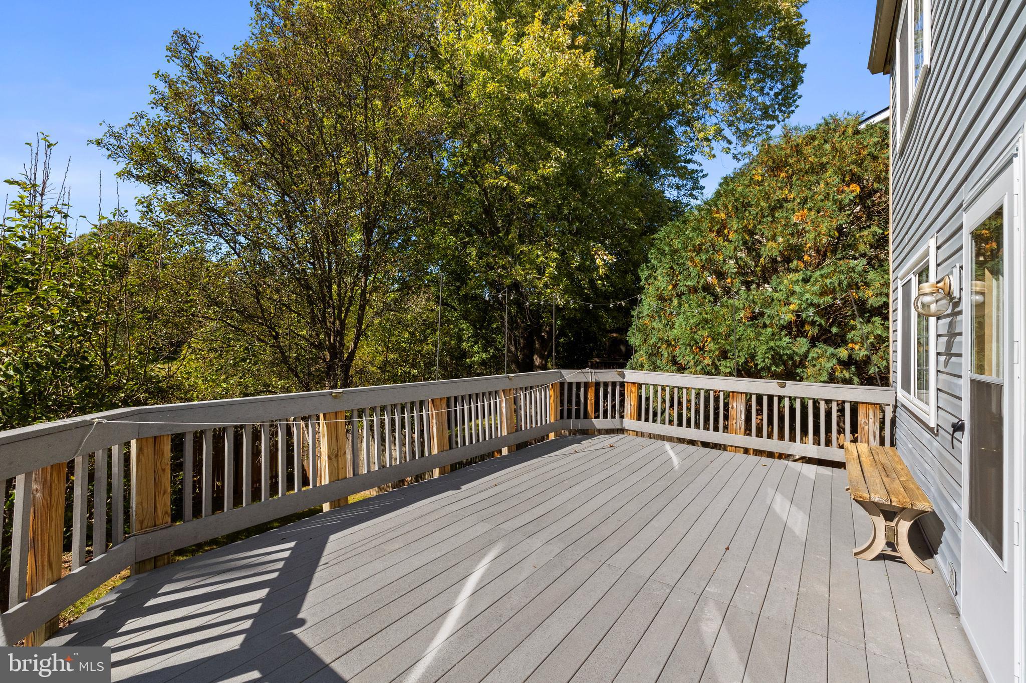 3804 Beech Down Drive Chantilly, VA 20151 - Photo 19 of 45