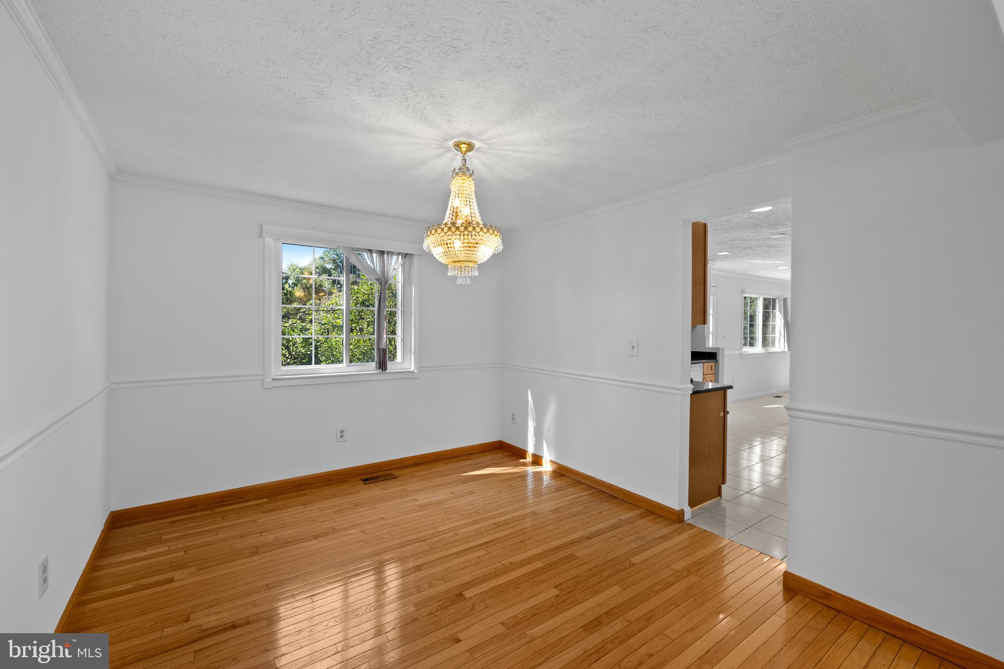 3804 Beech Down Drive Chantilly, VA 20151 - Photo 10 of 45