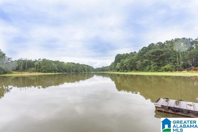 2784 England Road Lincoln, AL 35096 - Photo 45 of 49