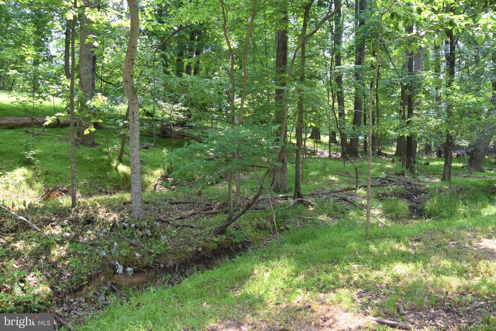 5283 Graystone Road Warrenton, VA 20187 - Photo 20 of 45