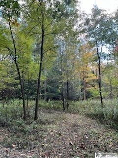 2552 Butts Road North Harmony, NY 14710 - Photo 2 of 6