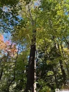 $37,000 | 2552 Butts Road, North Harmony, NY 14710