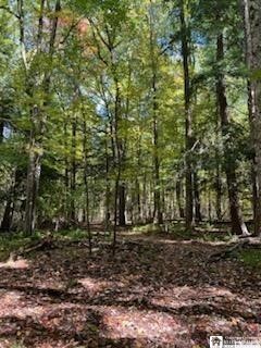 2552 Butts Road North Harmony, NY 14710 - Photo 4 of 6