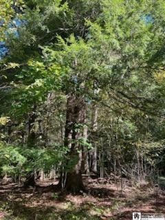 2552 Butts Road North Harmony, NY 14710 - Photo 5 of 6