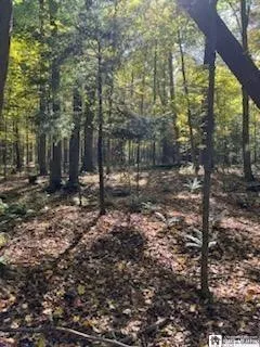 $37,000 | 2552 Butts Road, North Harmony, NY 14710
