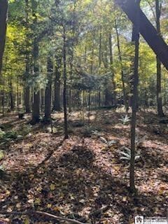 2552 Butts Road North Harmony, NY 14710 - Photo 6 of 6