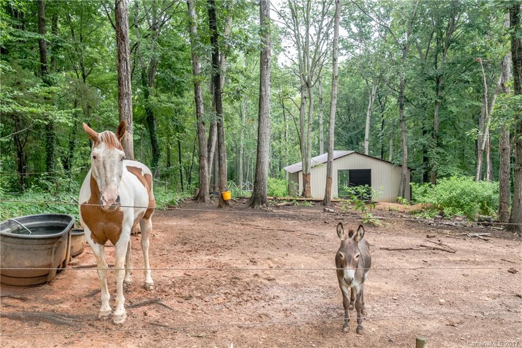 303 Nelson Road Weddington, NC 28104 - Photo 22 of 24 Gallery Image 22